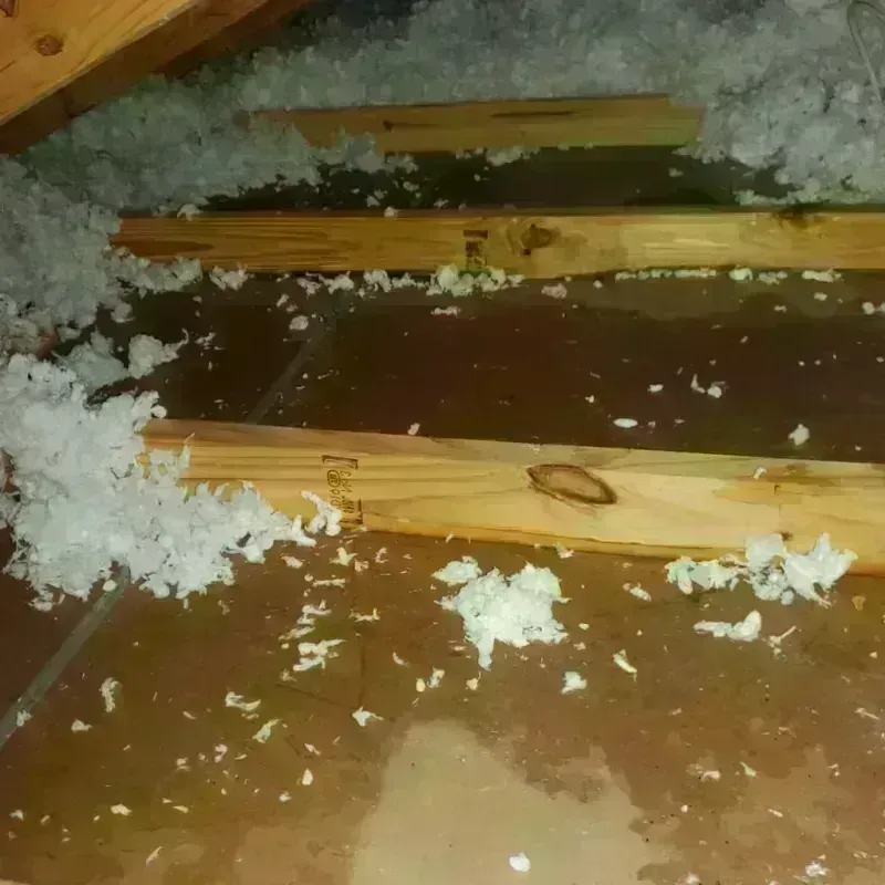 Attic Water Damage in Franklin, OH