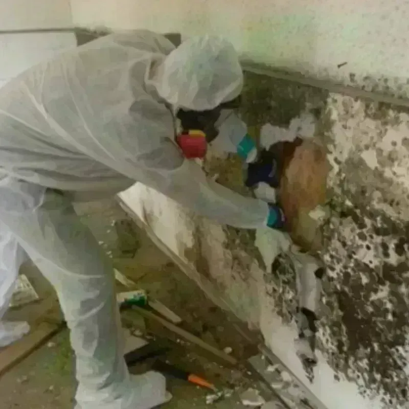 Mold Remediation and Removal in Franklin, OH