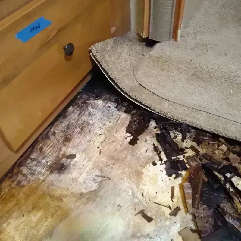 Wood Floor Water Damage in Franklin, OH